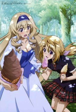 File:ACMY2014 cosplayers of Charlotte Dunois and Houki Shinonono  20140329.jpg - Wikimedia Commons