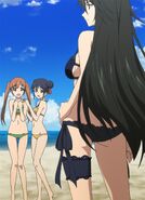 Chifuyu bikini sexy anime