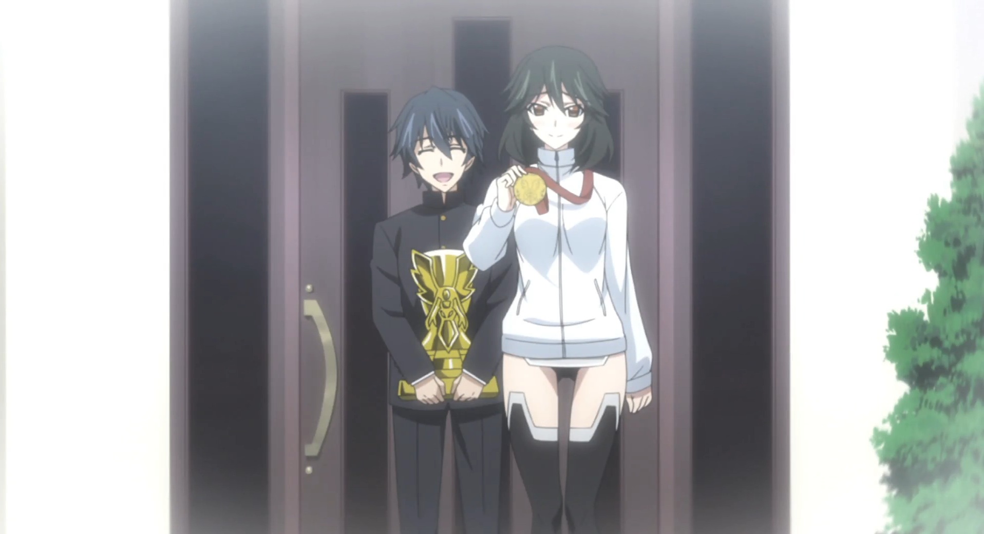 Who Will Ichika End Up With (Infinite Stratos)