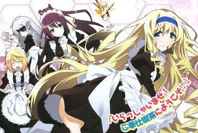 PS3 IS Infinite Stratos 2 Love and Purge Japan Game Japanese