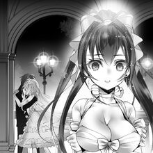 Light Novel Volume 11 Infinite Stratos Wiki Fandom Sentai filmworks streamed the television anime series as it aired in japan. light novel volume 11 infinite
