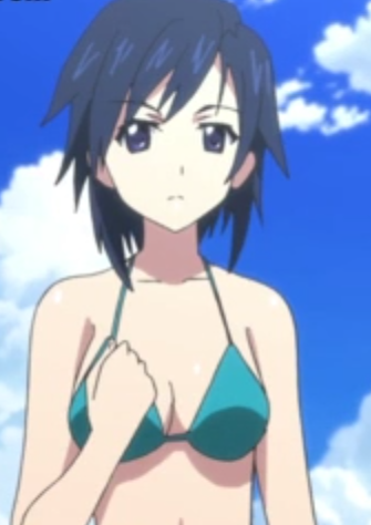 SS2 Episode 12, Infinite Stratos Wiki