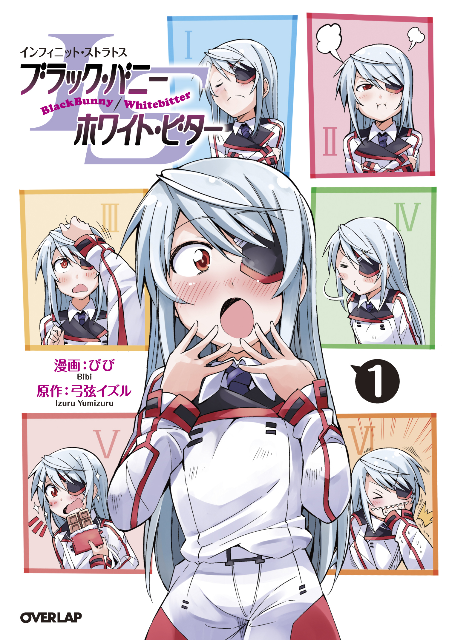 Infinite Stratos: Black Bunny/White Bitter Manga