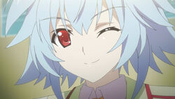 Tatenashi Sarashiki/Gallery, Infinite Stratos Wiki, Fandom