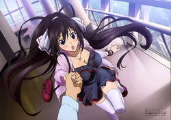 Houki Shinonono/Gallery, Infinite Stratos Wiki, Fandom