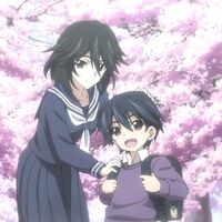 Ichika Orimura Relationships Infinite Stratos Wiki Fandom Light novels and then some. ichika orimura relationships infinite