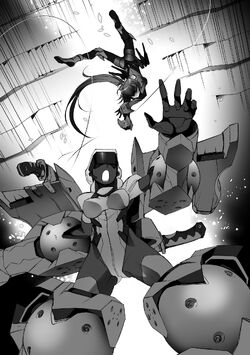 Art] INFINITE STRATOS (Manga) - Vol. 8 Cover (END) : r/manga