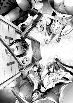 Light Novel Volume 12 Infinite Stratos Wiki Fandom Read the official infinite stratos: light novel volume 12 infinite