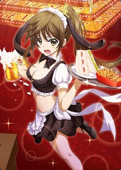 Lingyin Huang/Gallery, Infinite Stratos Wiki, Fandom