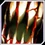 Feral Embrace icon