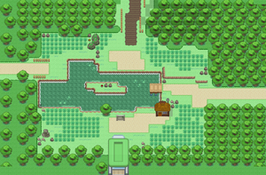 safari map pokemon infinite fusion