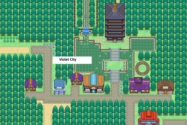 What's up with the well on Route 36 : r/PokemonInfiniteFusion