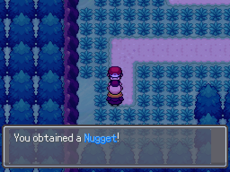 Nugget Route11