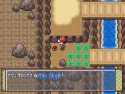 MaxElixir BlackthornCity