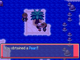 Pearl2 Route21