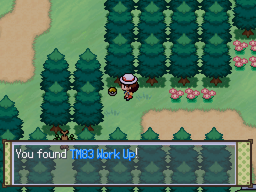 What's up with the well on Route 36 : r/PokemonInfiniteFusion