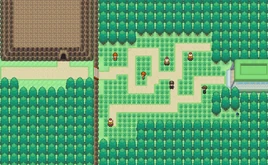 Route11