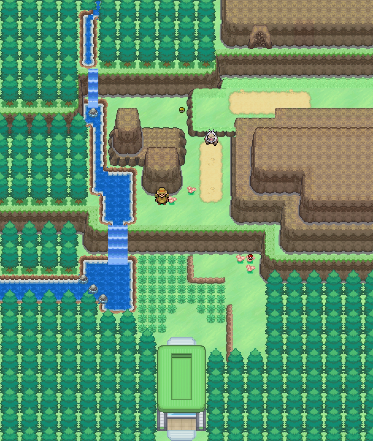 Route 46, Pokémon Infinite Fusion Wiki