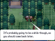 Blocked path by Trees before defeating the Elite Four.