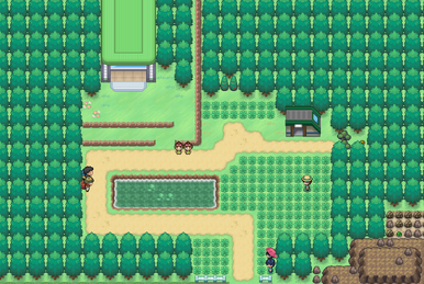 Pokéarth - Johto - Route 34