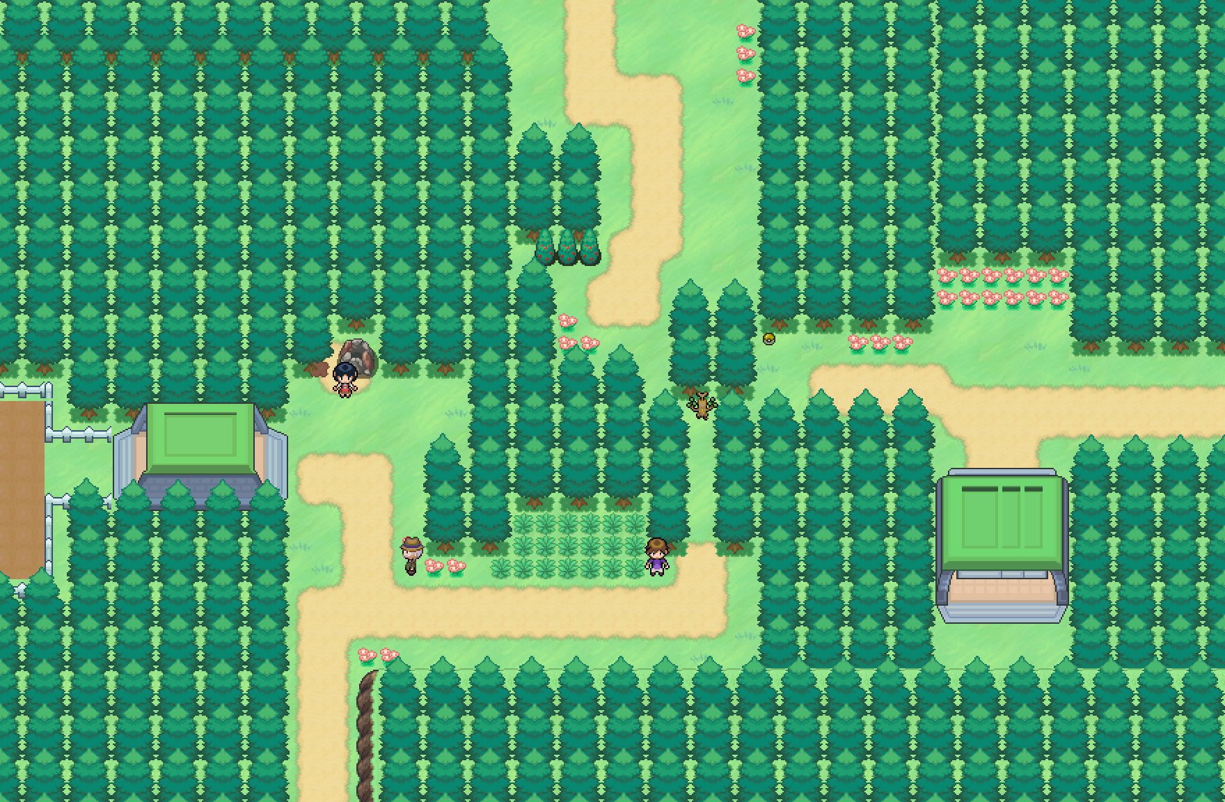 What's up with the well on Route 36 : r/PokemonInfiniteFusion