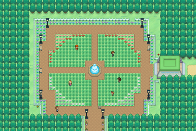 What's up with the well on Route 36 : r/PokemonInfiniteFusion