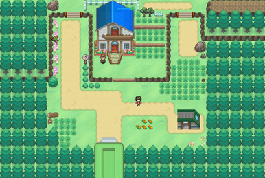 Route 24, Pokémon Infinite Fusion Wiki