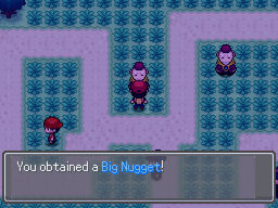 BigNugget Route11