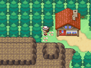 / Route 16 Entrance.