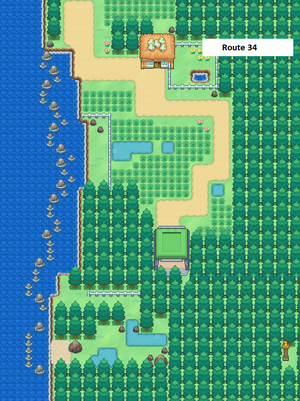 Route 5, Pokémon Infinite Fusion Wiki