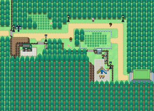 Route 5, Pokémon Infinite Fusion Wiki