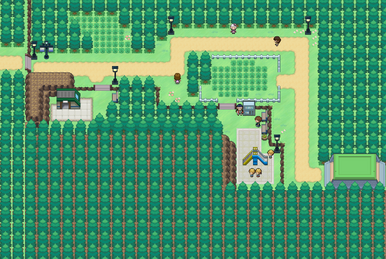 Pokéarth - Johto - Route 34