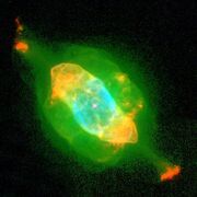 NGC 7009 Hubble