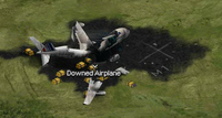 Downed Airplane