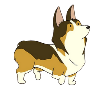 Lost river corgis discount