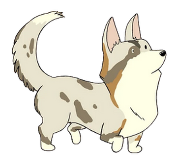 Lost river corgis top