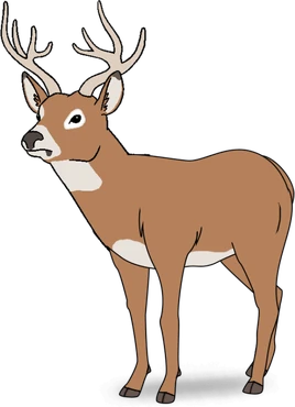 Alan Render CN Arcade