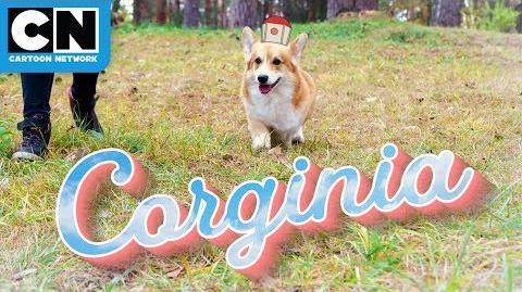 Infinity Train Corginia is For Corgi Lovers Travel Commercial Cartoon Network