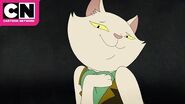Learn French With The Cat Infinity Train Cartoon Network