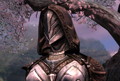 Siris, from Infinity Blade 1 (Plate Armor, Blue Steel Helm) : r