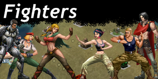 Wiki fighters