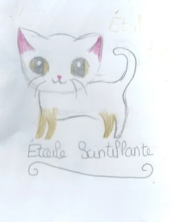 Blog Utilisateur Coussinet Moelleux Mes Dessins Wiki Info Chats Fandom