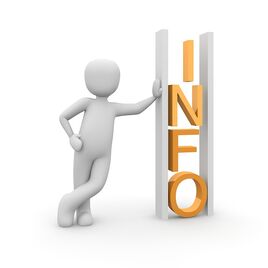 Information person