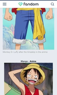 The Portable Infobox from One Piece Wiki displays also another picture on the mobile skin, and also displays twice “Manga - Anime”, because of the {{Switch}} template that uses JS.
