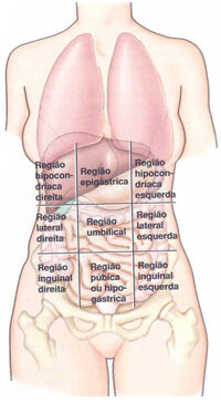 Quadrantes Abdominais