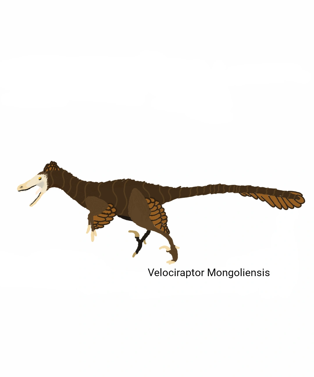 Velociraptor | DinoCoat The Gaming Tyrannosaur Wiki | Fandom