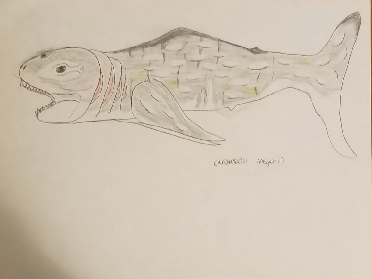 Carcharocles | DinoCoat The Gaming Tyrannosaur Wiki | Fandom