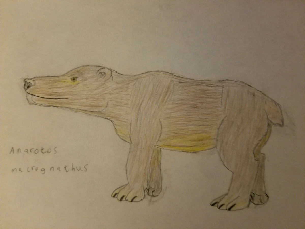 Anarctos | DinoCoat The Gaming Tyrannosaur Wiki | Fandom