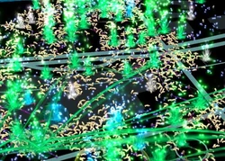 任务日当天因玩家解任务后随意弃置满地 Portal Key 导致严重的 Lag，造成玩家游戏体验不佳，因而被戏称新北垃圾城。