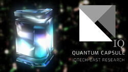 Quantum Capsule